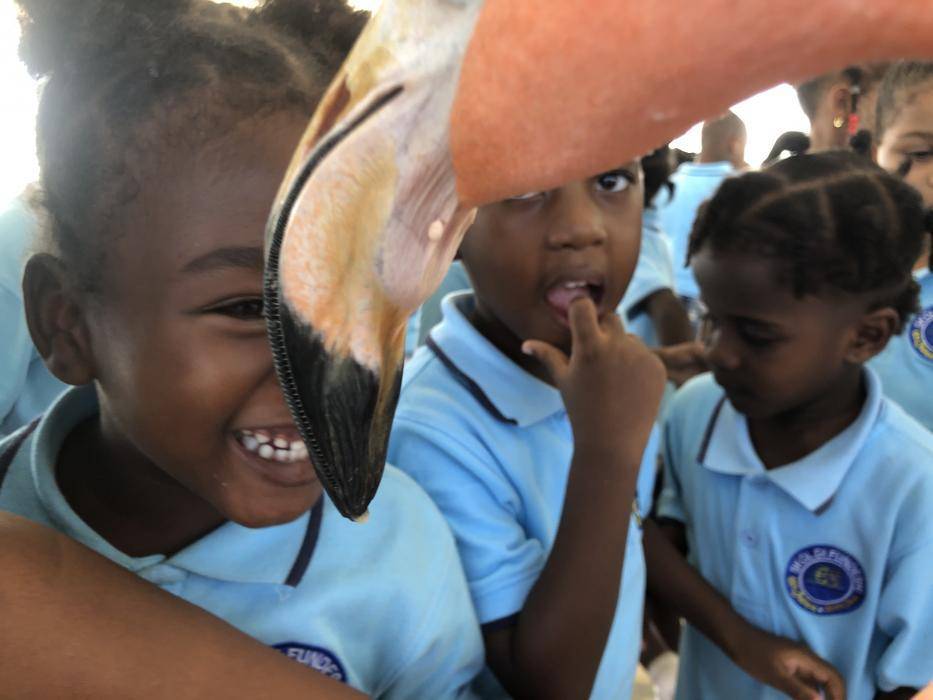 Fundashon Dier en Onderwijs Cariben